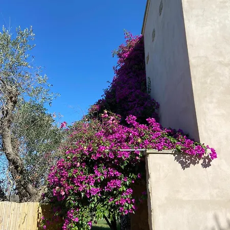 La Brancaccia - Dimora Di Charme In Campagna Country house Ruffano