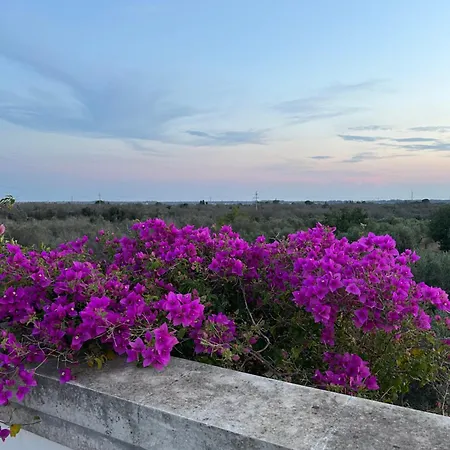 La Brancaccia - Dimora Di Charme In Campagna Country house *