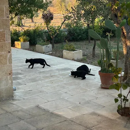 La Brancaccia - Dimora Di Charme In Campagna Country house Ruffano